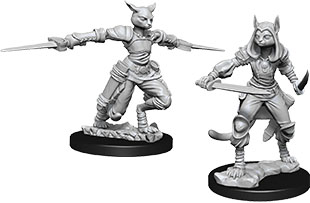 Tabaxi Rogue Female (Nolzurs - W09)